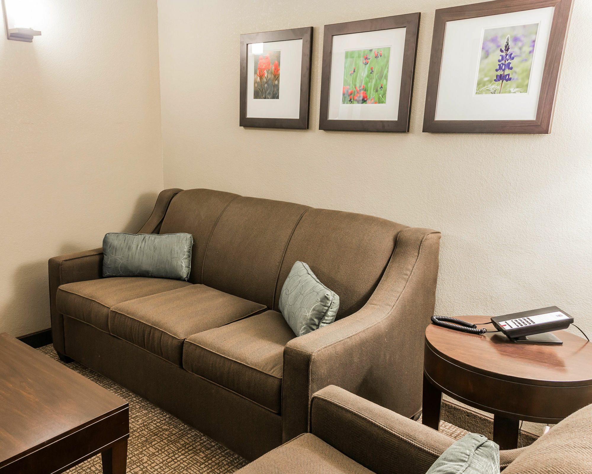 Comfort Inn & Suites Pharr/Mcallen Luaran gambar